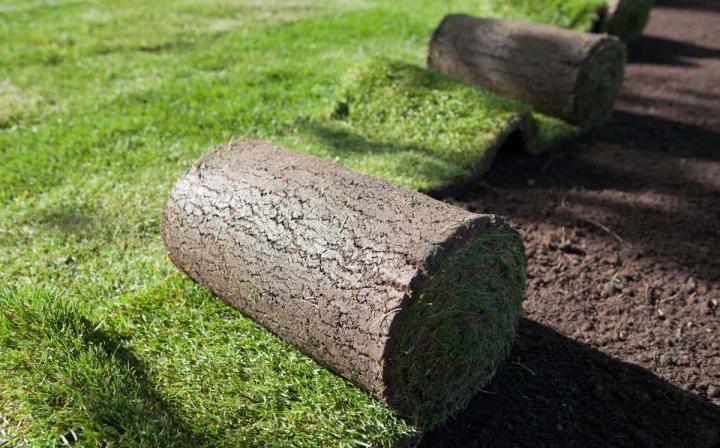 Vente de gazon en rouleau Les Pennes-Mirabeau